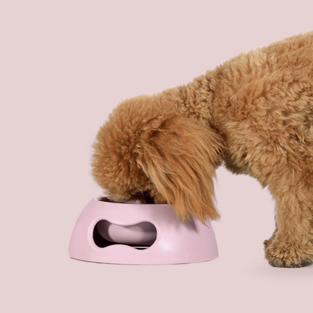Pappy 25th Anniversary Pet Bowl