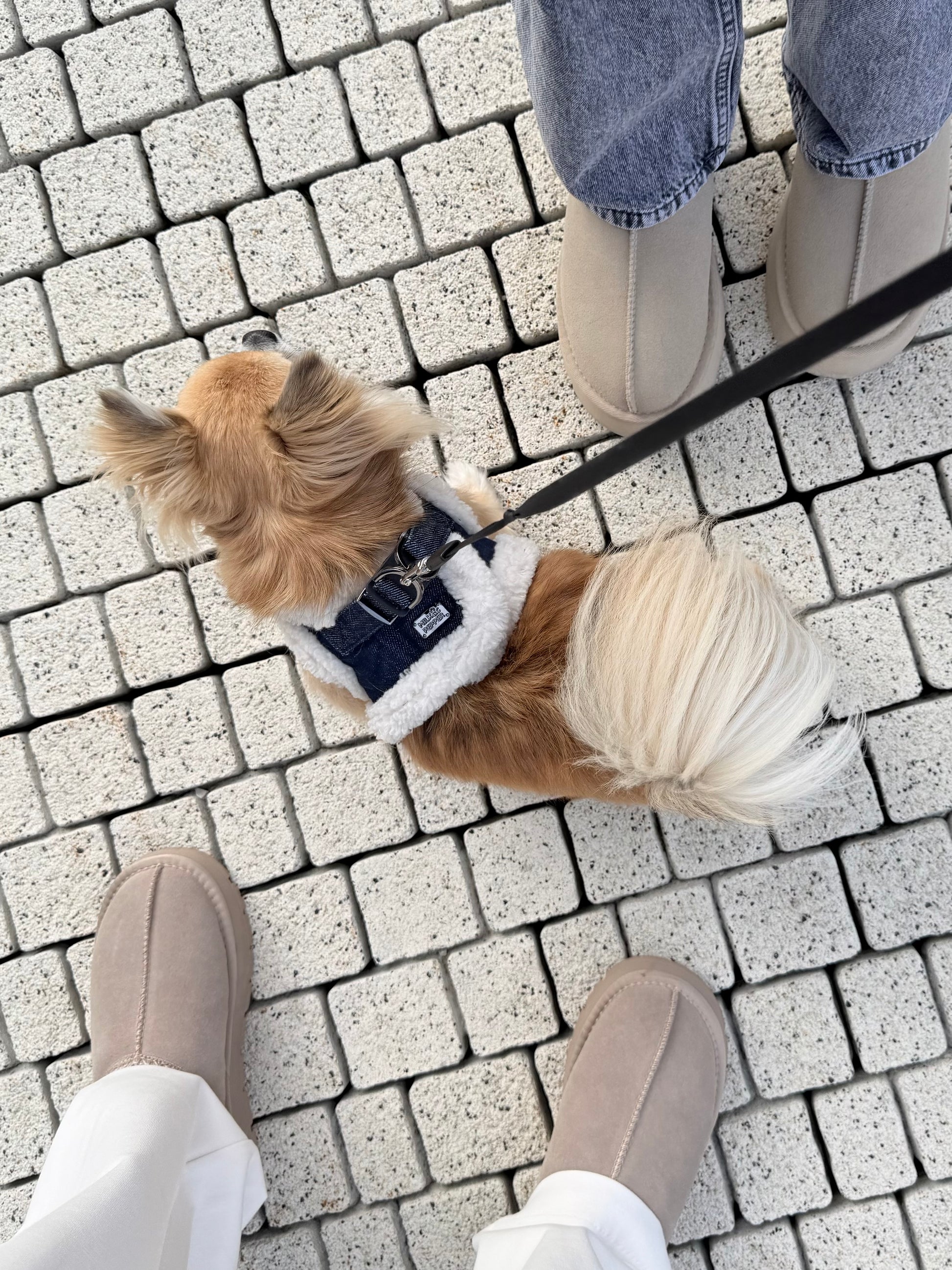 Tyler Puff Jacket Harness for Dogs