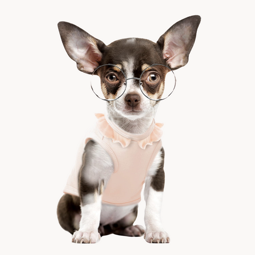 Amour Fou Pink T-Shirt for Dogs or Cats