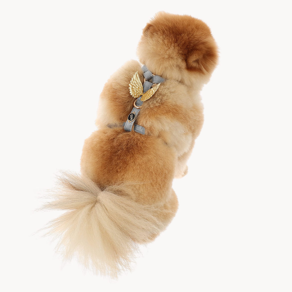Wings Black Velour Harness