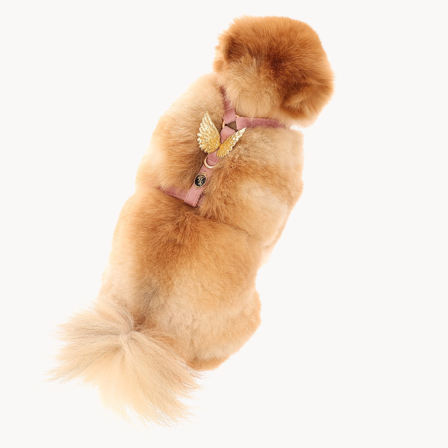 Wings Pink Velour Harness