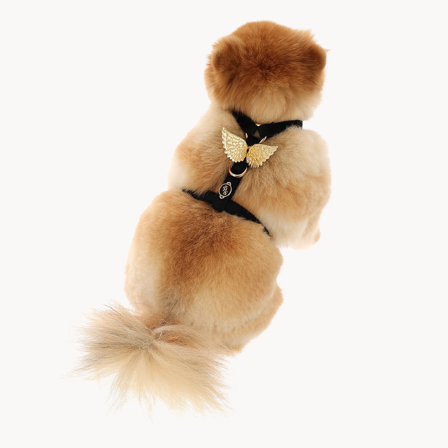 Wings Black Velour Harness
