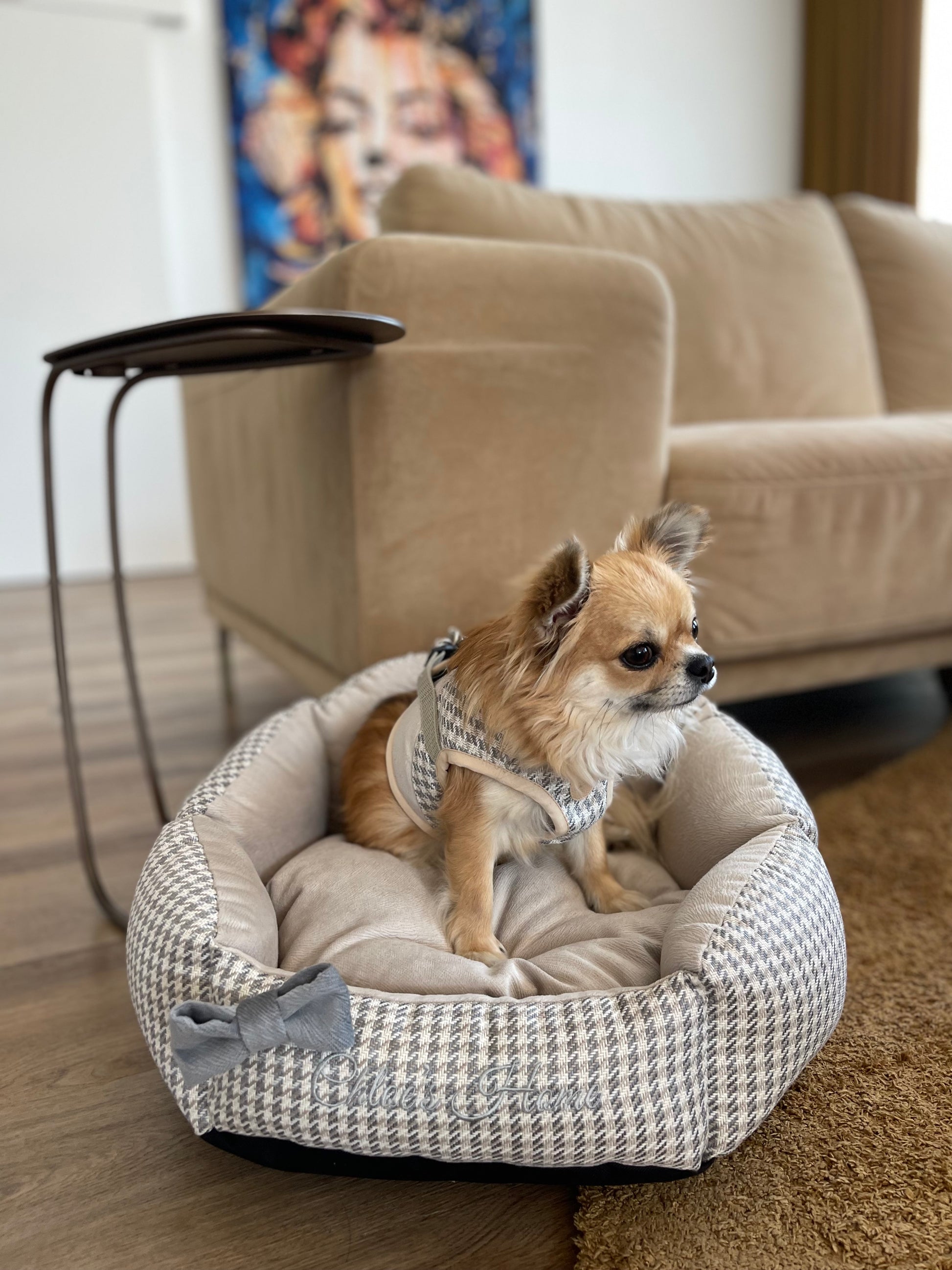 Berlin Ecru Harness for Dogs and Cats