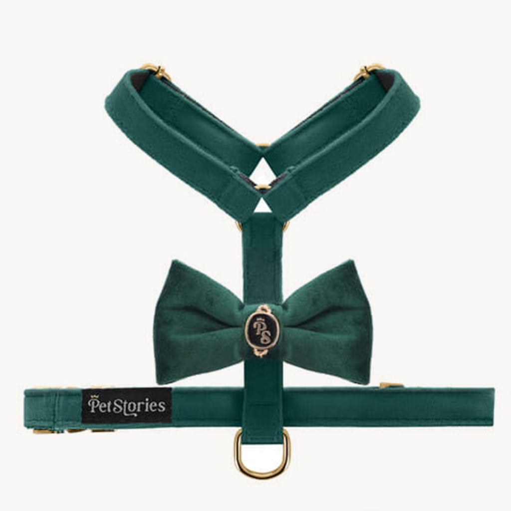 Velvet Bow Green Harness