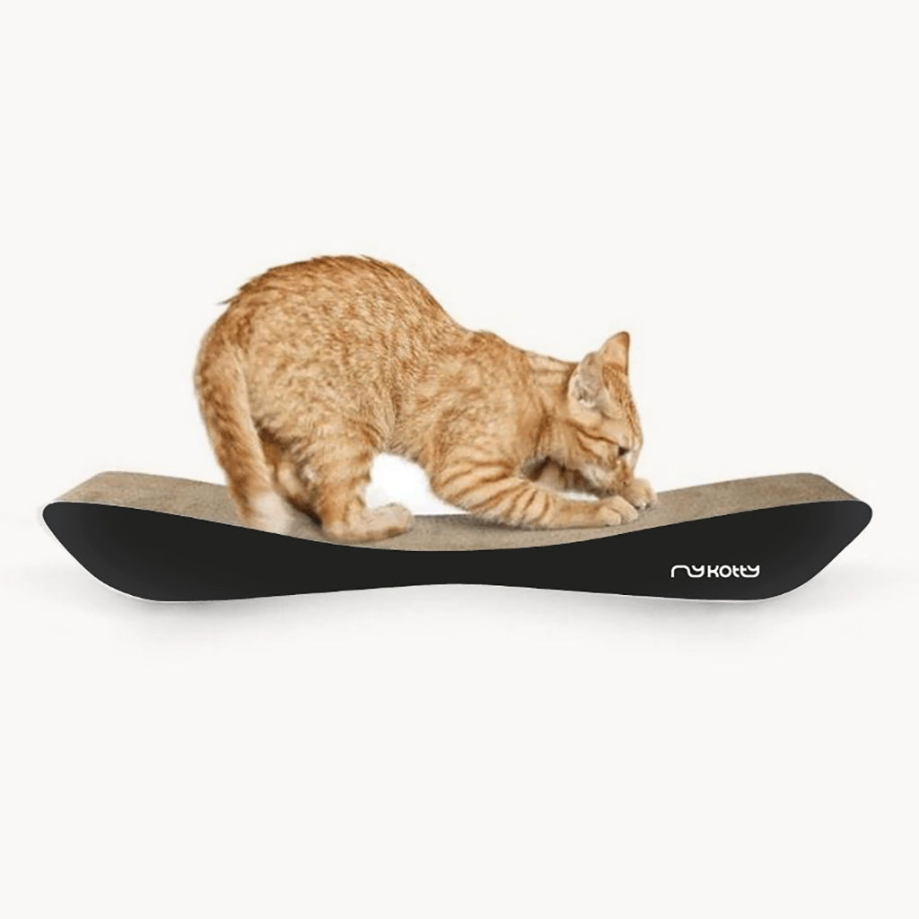 Tobi Black Cat Scratcher