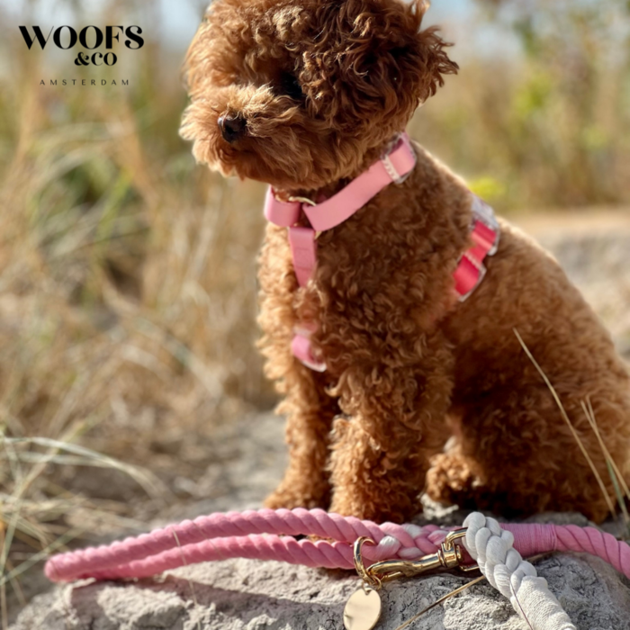 Duo Color Coral Blush Dog Harness