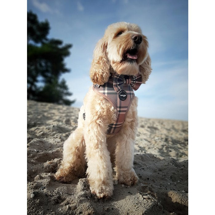 Tartan Tan Beige Dog Harness