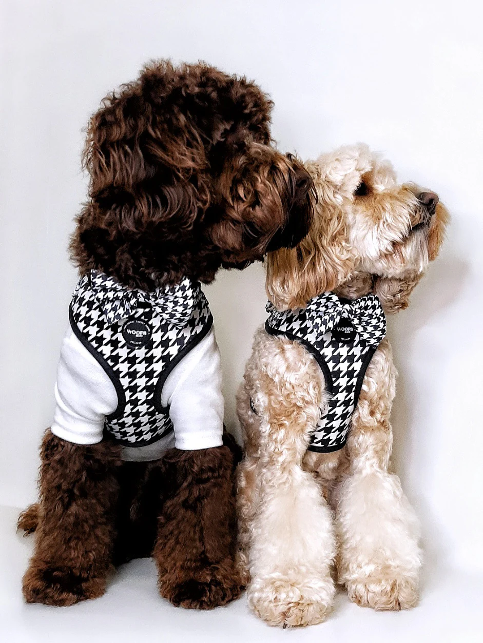 Houndstooth Black Edition Dog Harness