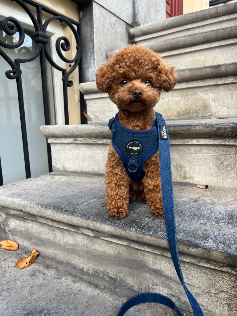 Denim Dog Harness