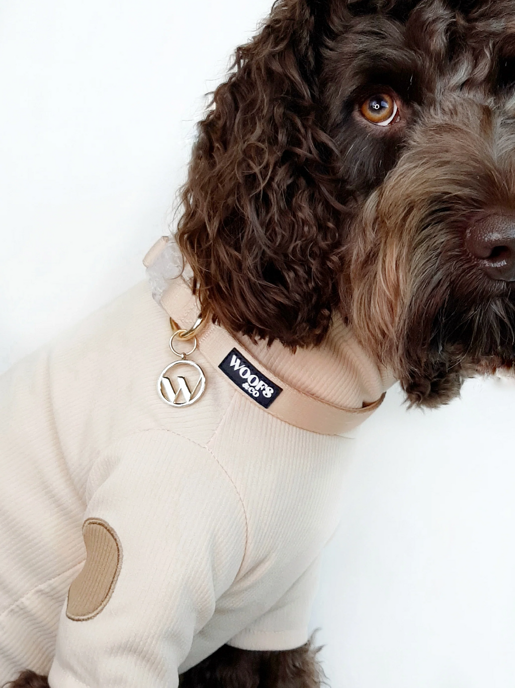 Dune Dog Collar with Charm