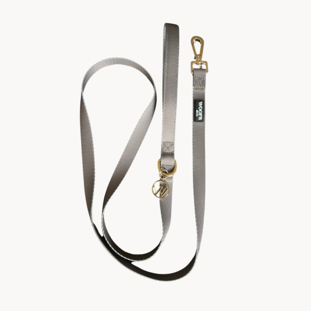 Ash Dog Leash with Charm