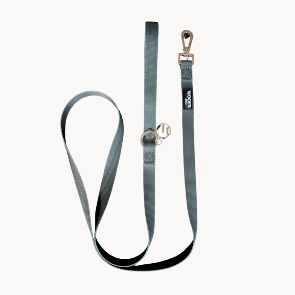 Khaki Dog Leash with Charm