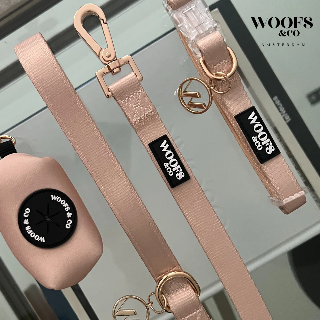 Dune Dog Leash with Charm