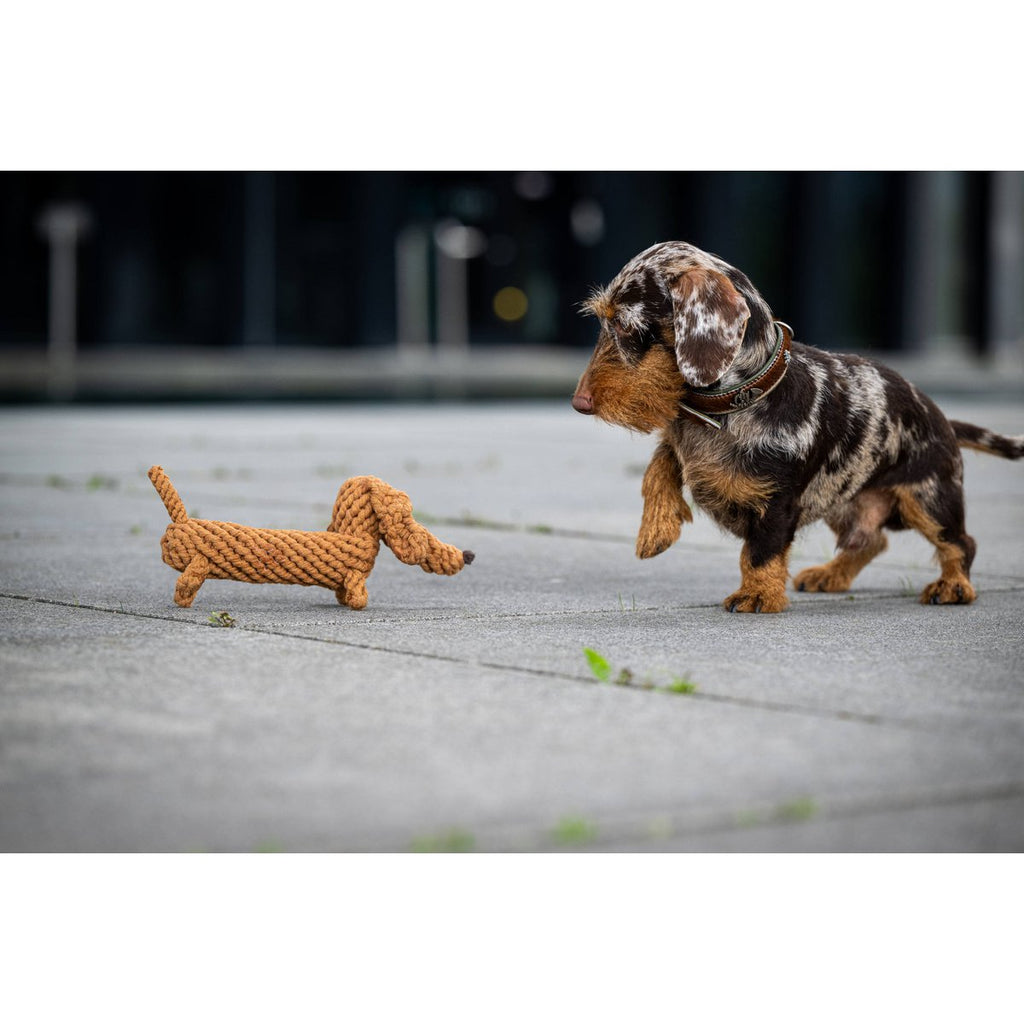 Diego the Dachshund Cotton Dog Toy
