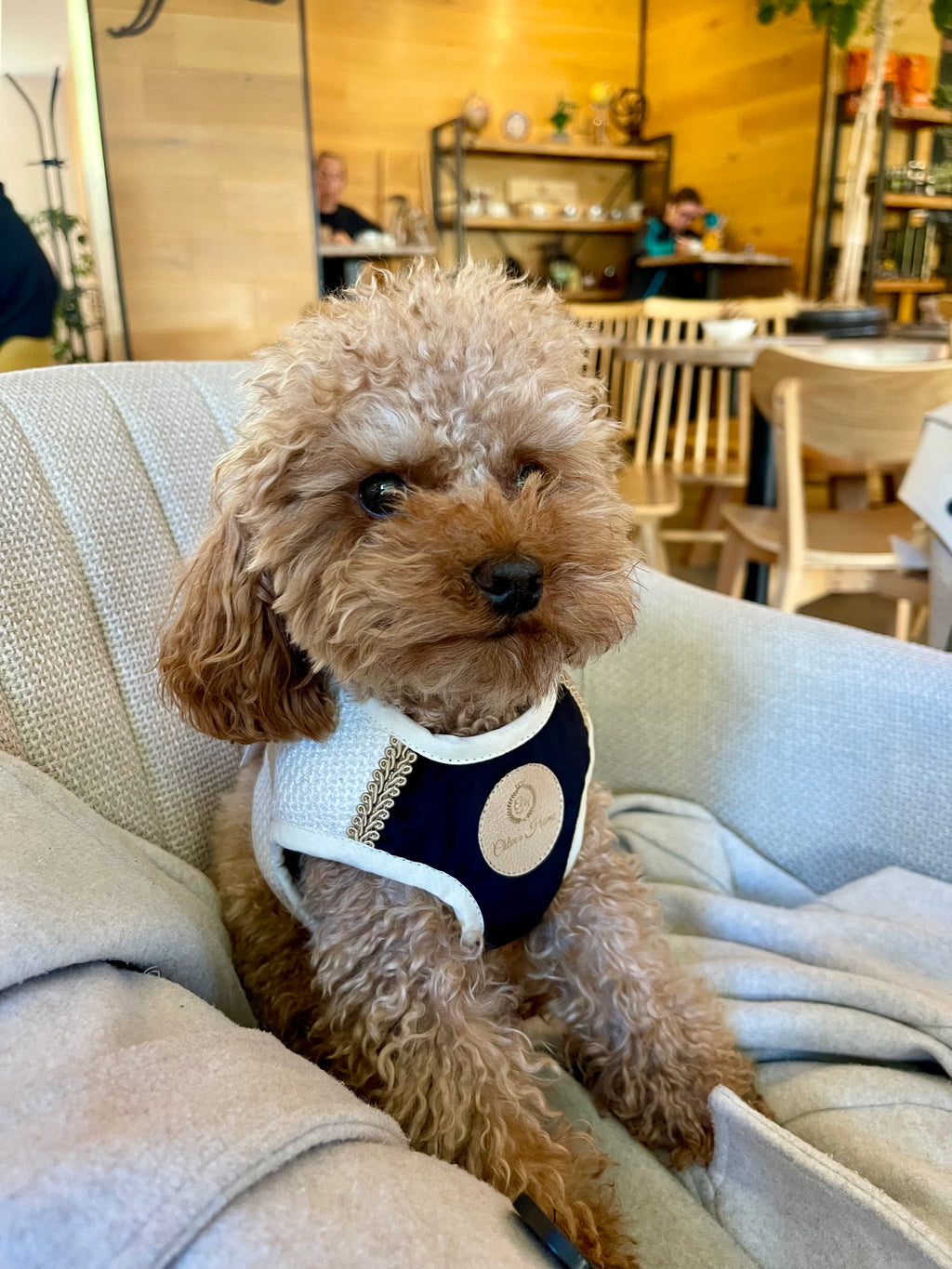 Tuscany Dog Harness