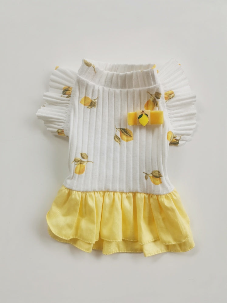 Fruit Lemon Pet Summer Dress for Dogs or Cats