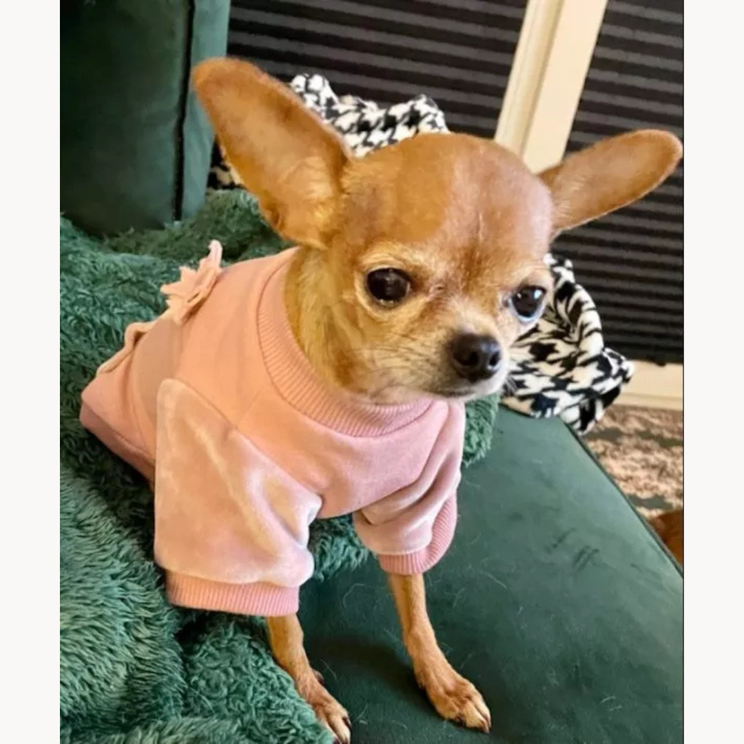 Velvet Pink Hoodie