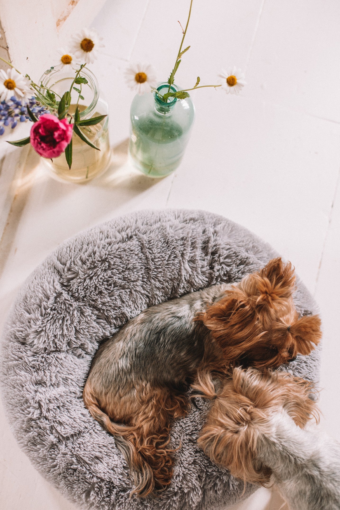 Petersburg Grey Pet Bed