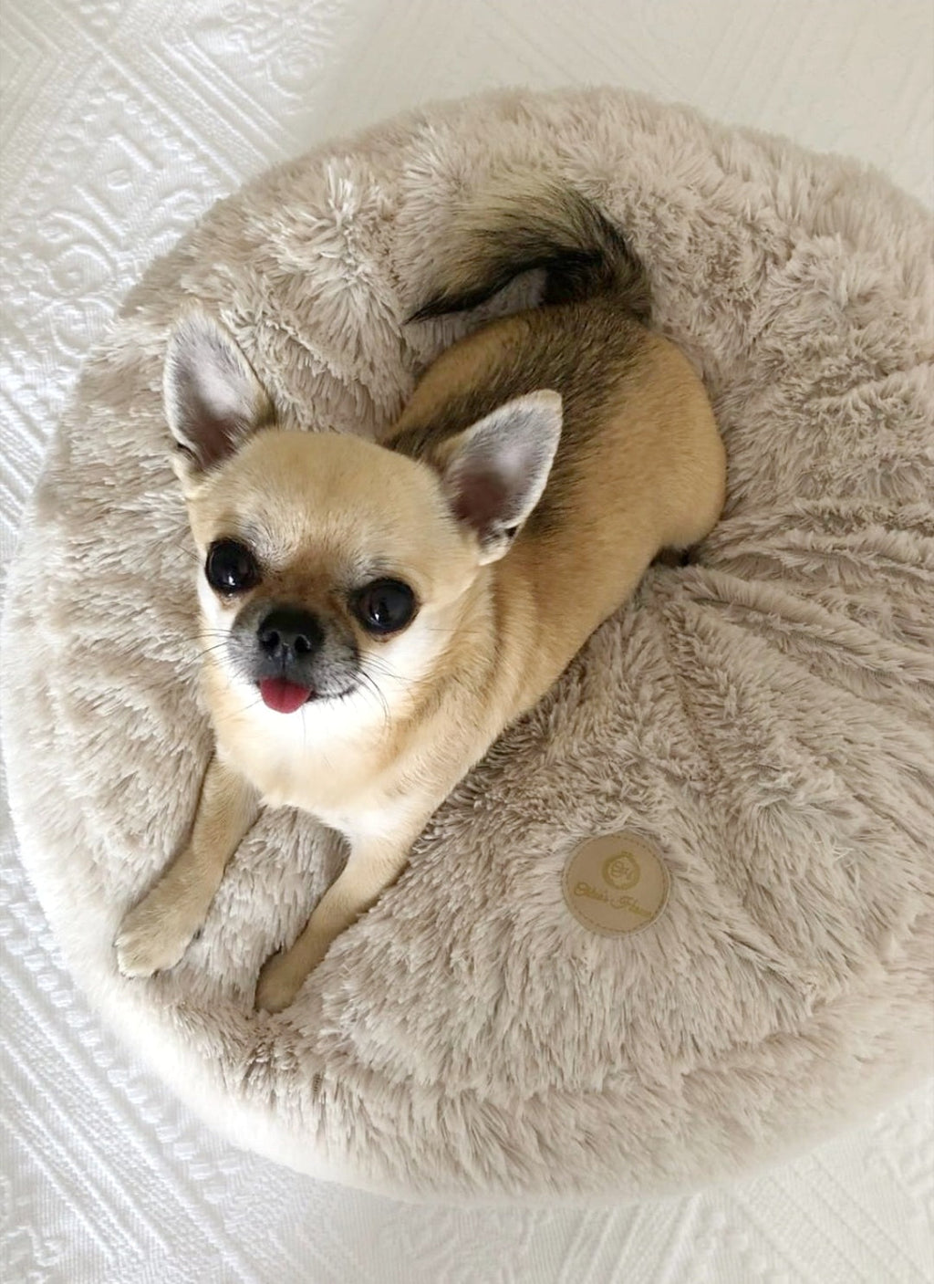 Petersburg Ecru Pet Bed