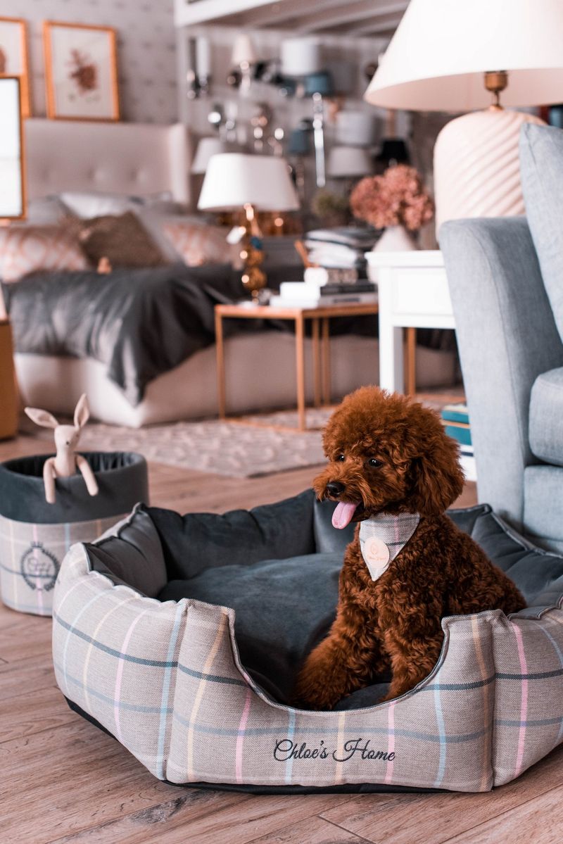 London Exclusive Pet Bed