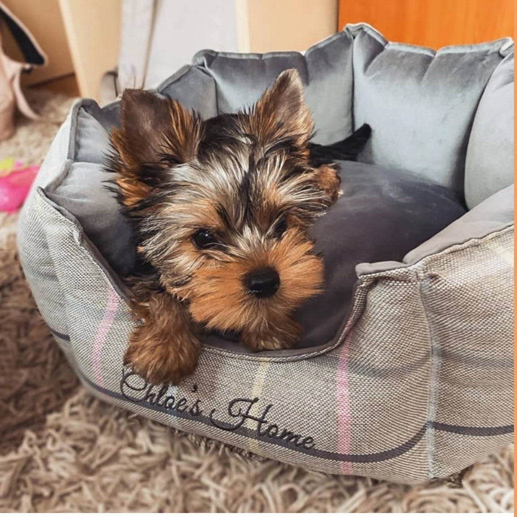London Exclusive Pet Bed