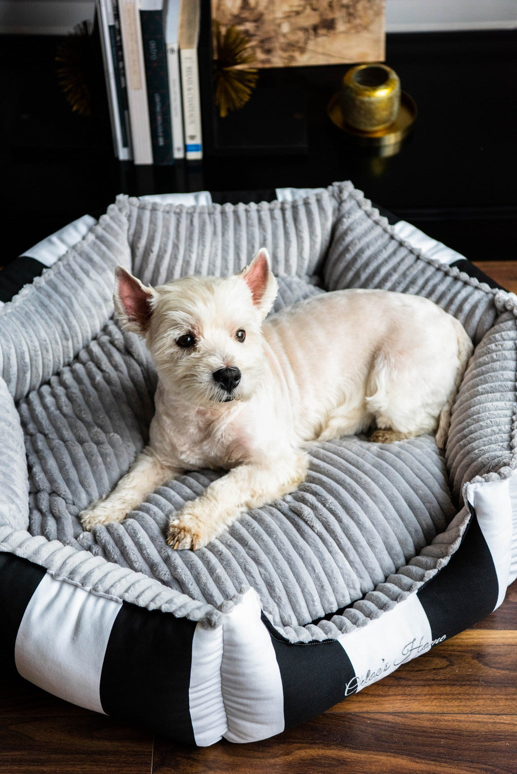 Monte Carlo Pet Bed