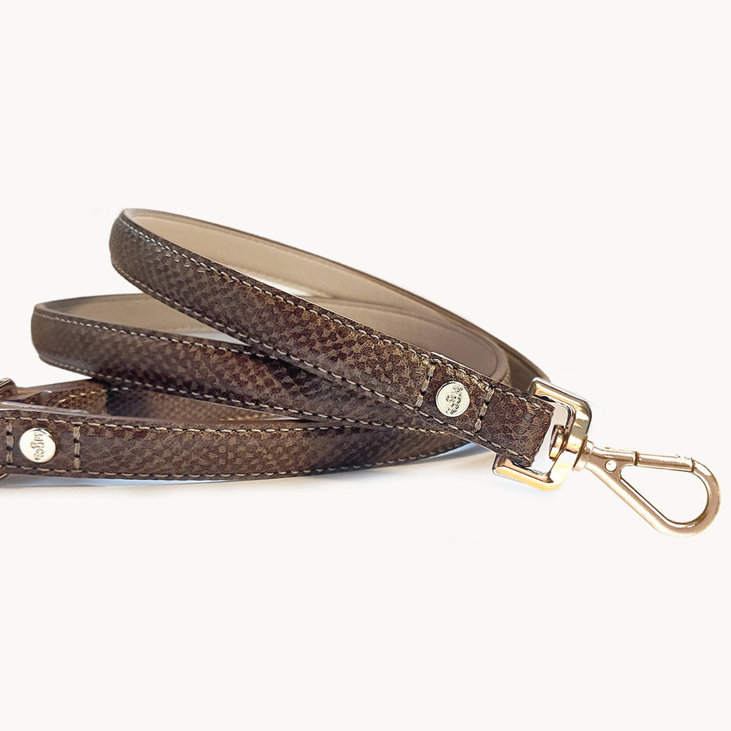 Pogona Brown Dog Leash