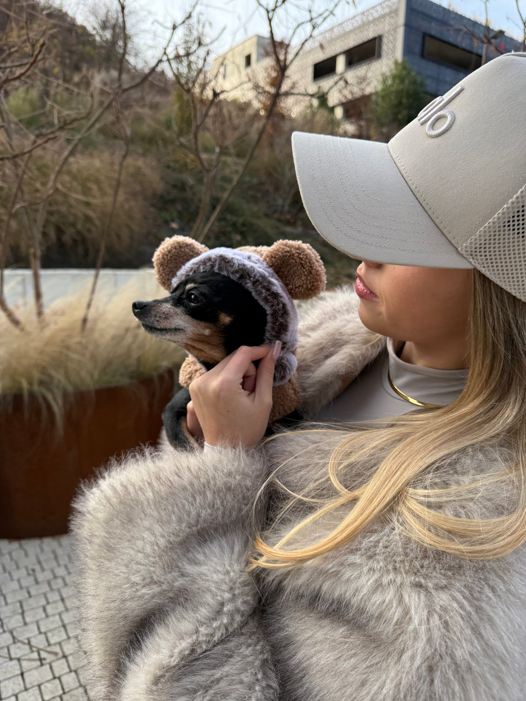 Ernest Teddy Sweater for Dogs