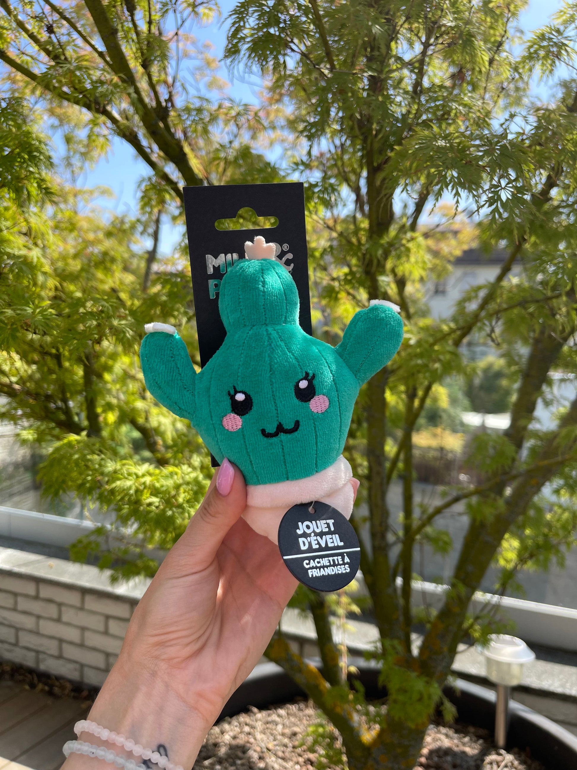 Ritas Plush Cactus Dog Toy