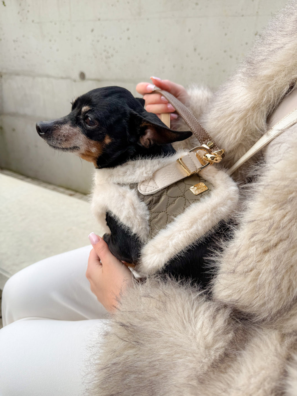 Clarice Puff Jacket Harness for Dogs