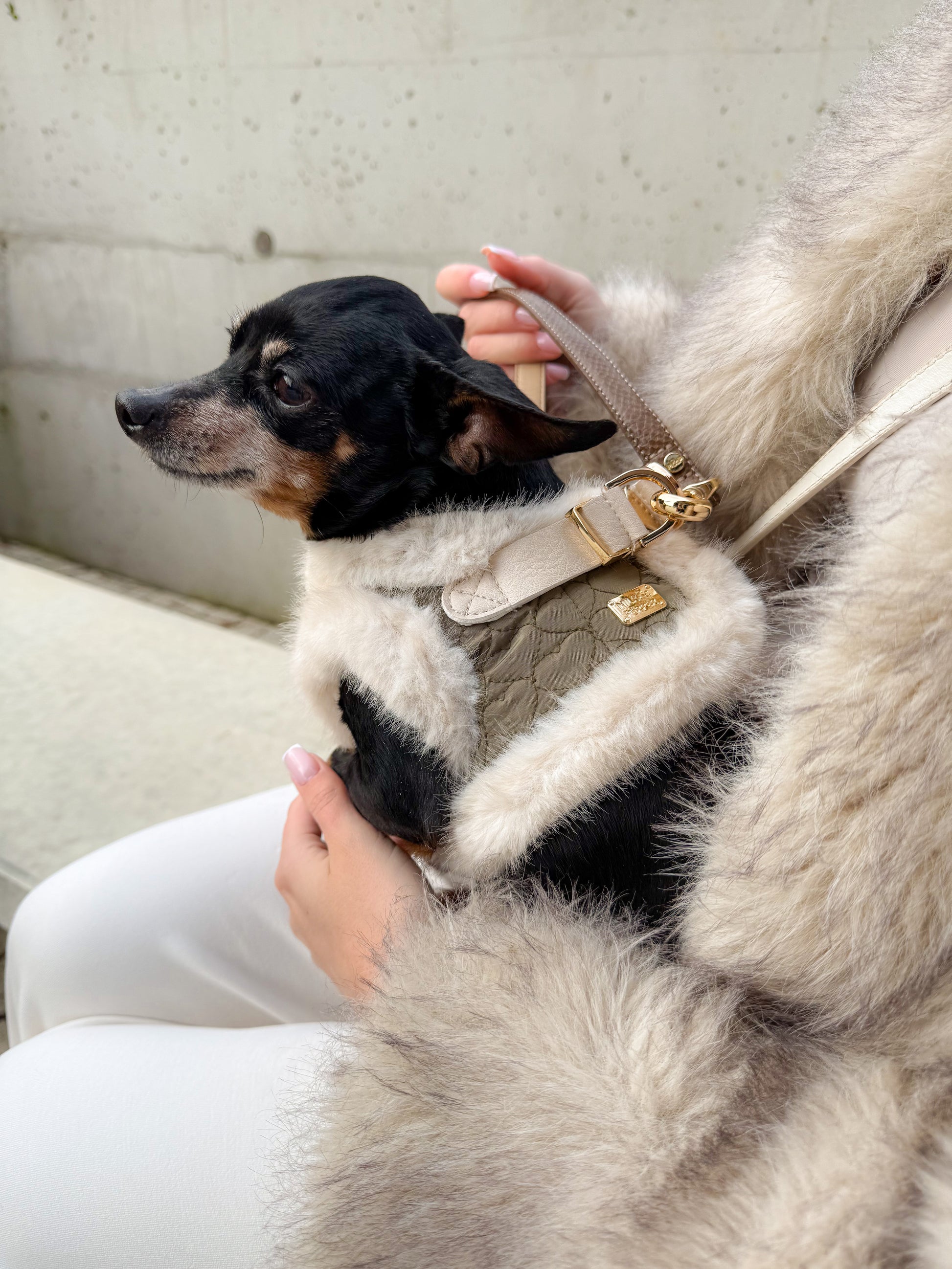 Clarice Puff Jacket Harness for Dogs