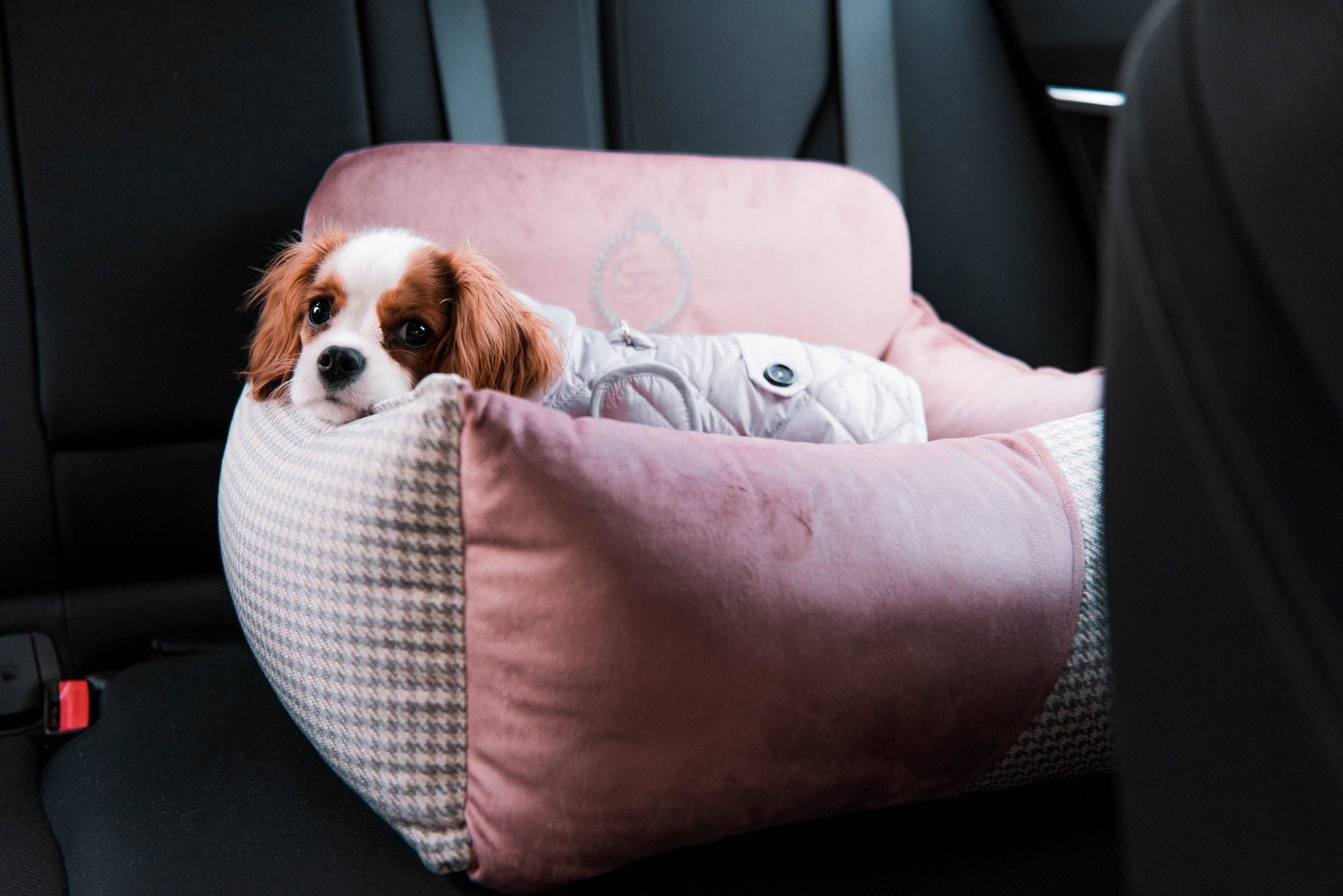 Porto Pink Pet Car Seat