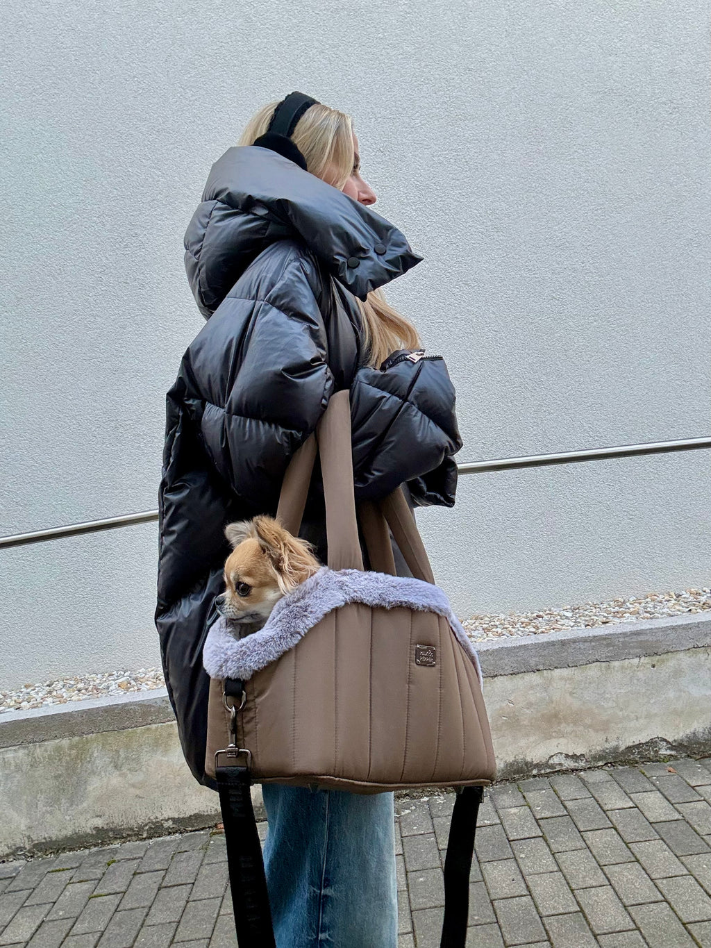 Nanouk Brown Pet Carrier Bag - Small