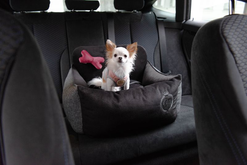 Paris Black Pet Car Seat