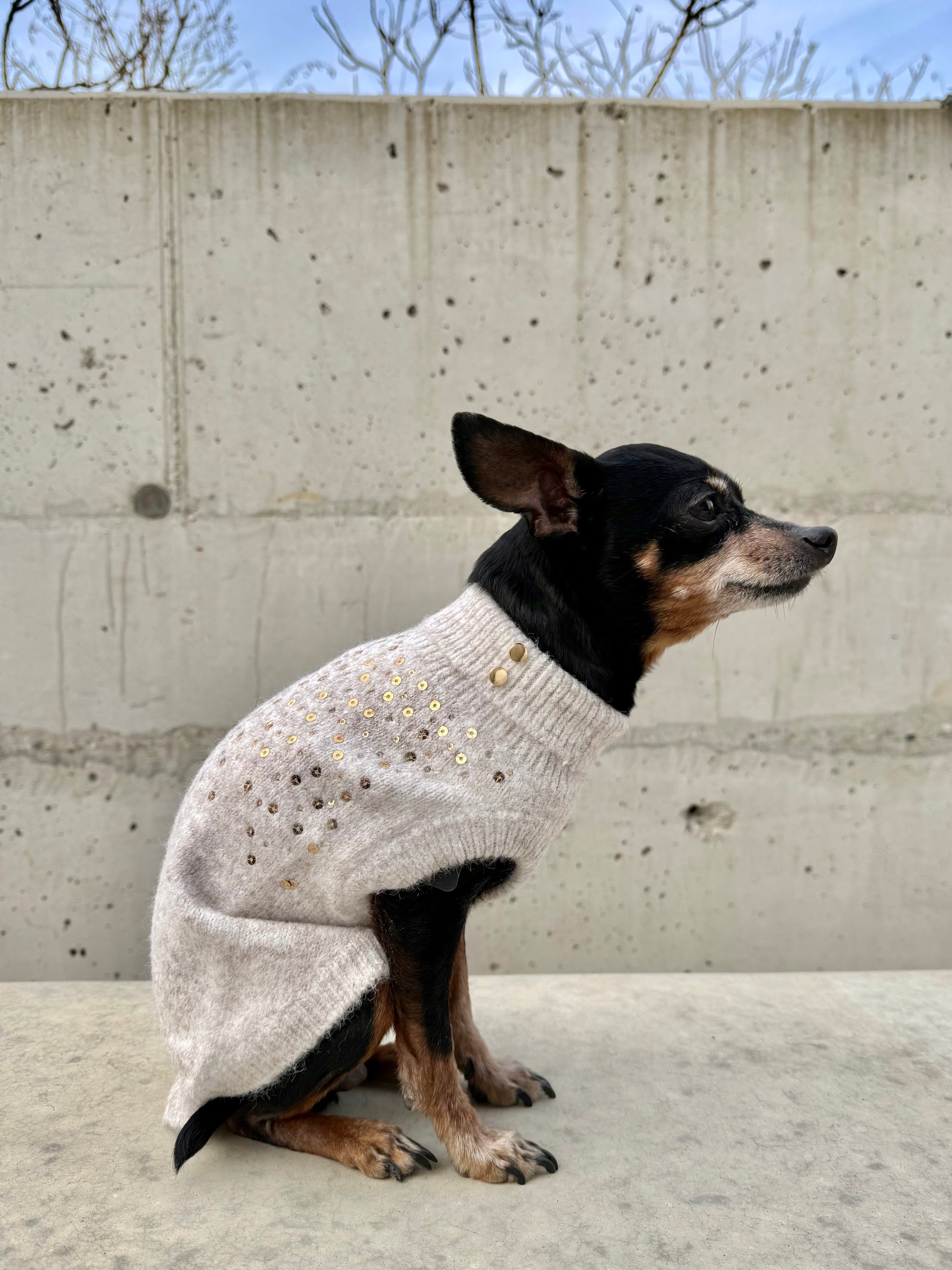 Wilma Sweater for Dogs