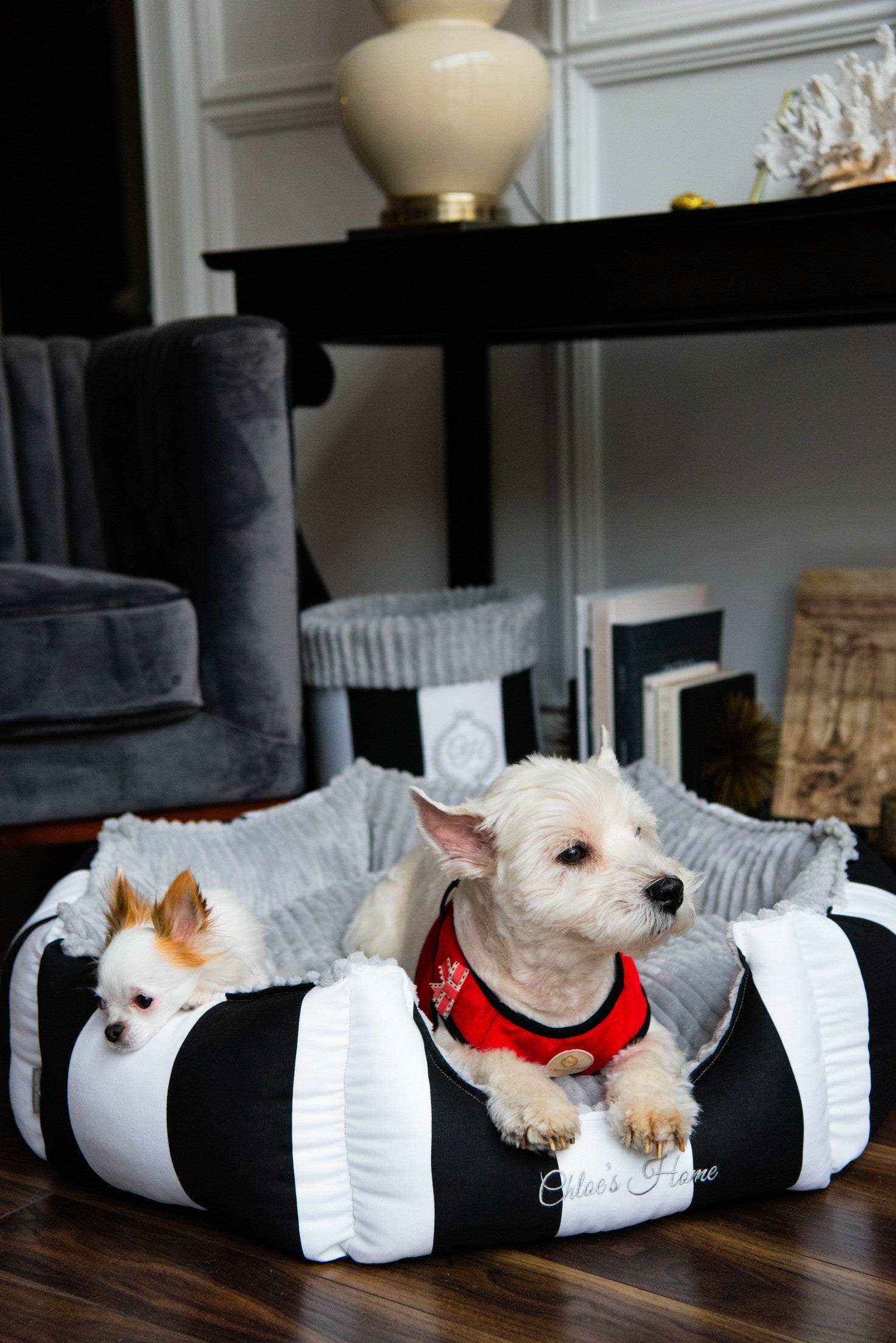 Monte Carlo Pet Bed