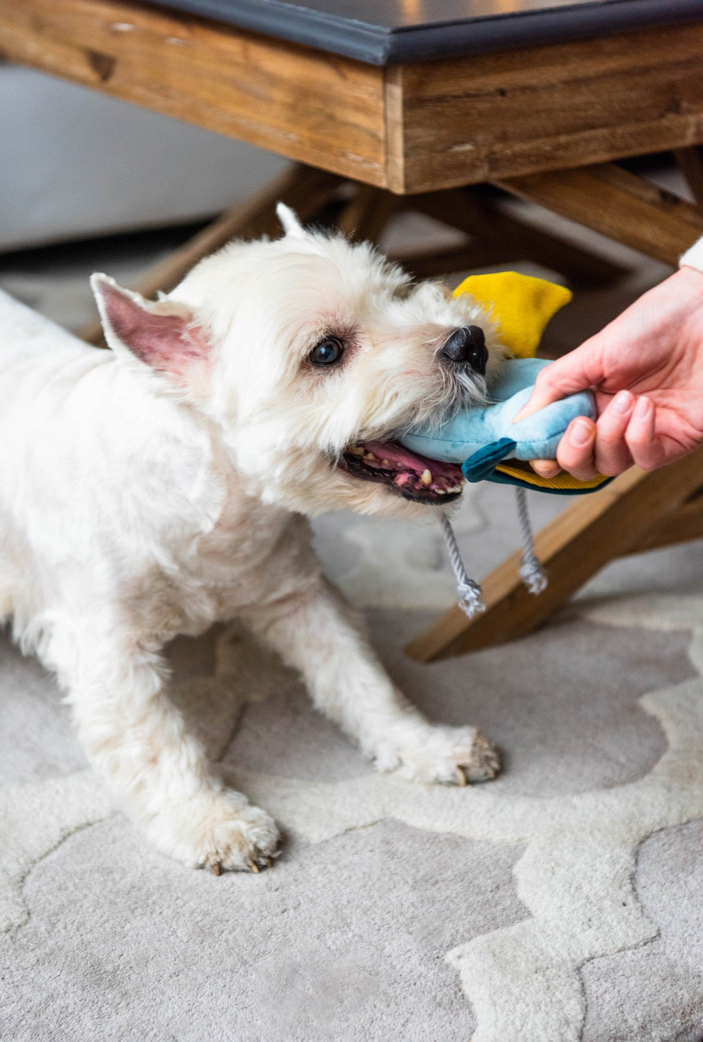 Flamingo Interactive Dog Toy