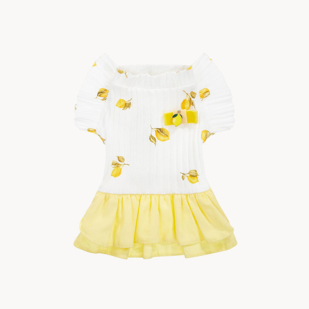 Fruit Lemon Pet Summer Dress for Dogs or Cats