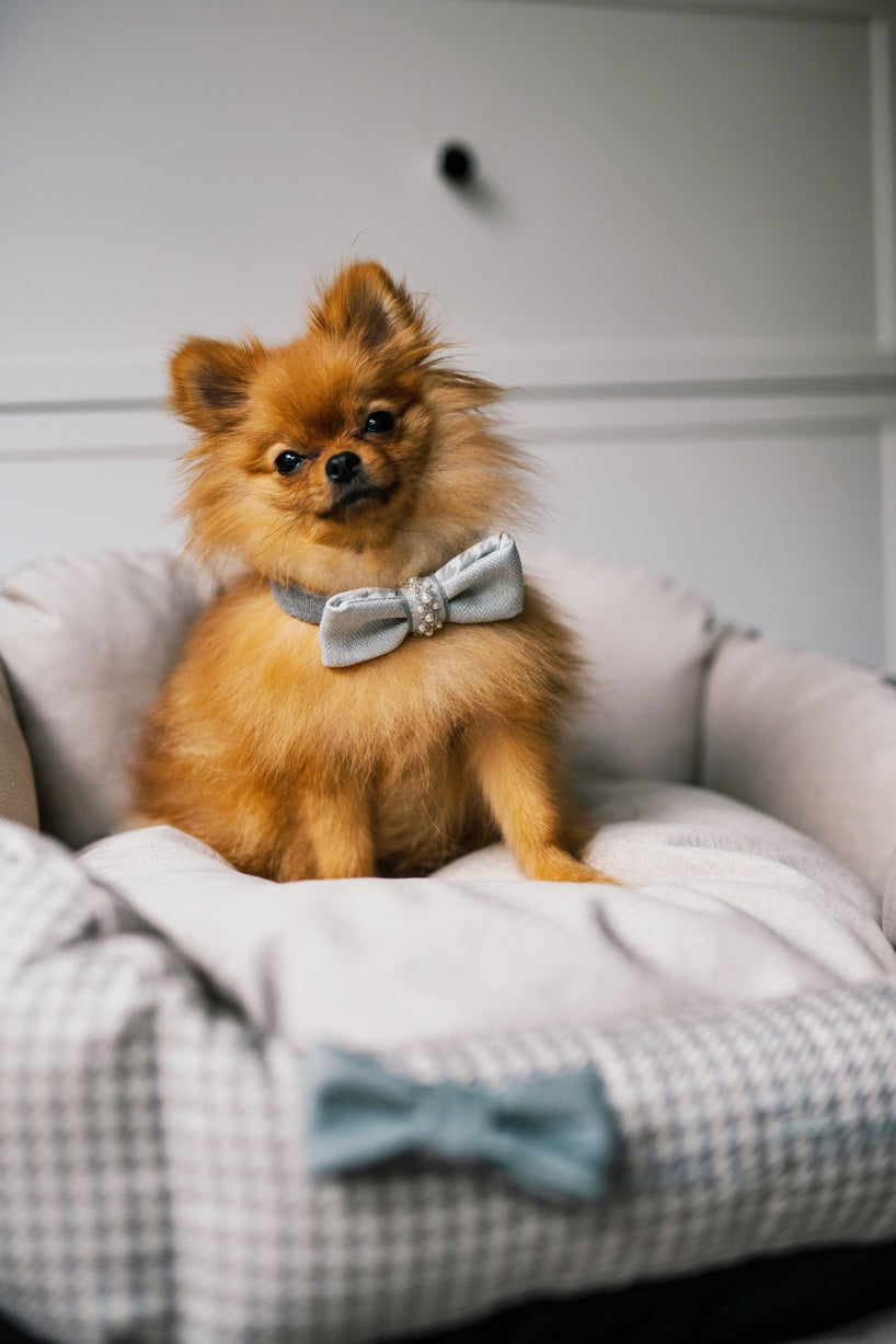Berlin Luxury Ecru Pet Bed
