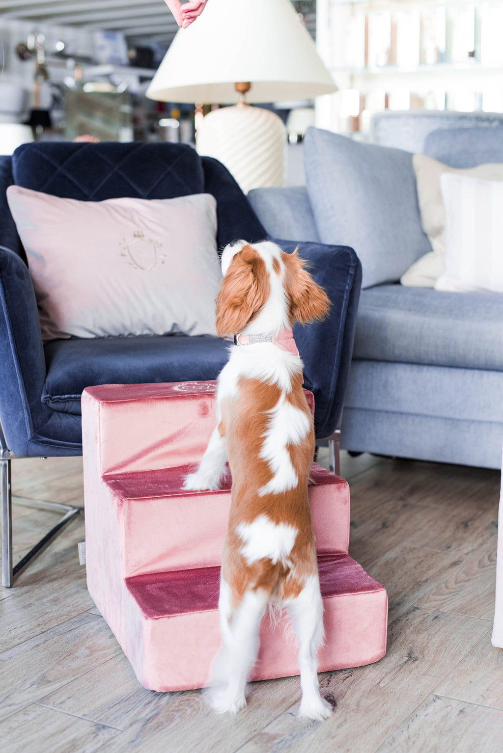 Bahamas Luxury Pink Velvet Pet Stairs