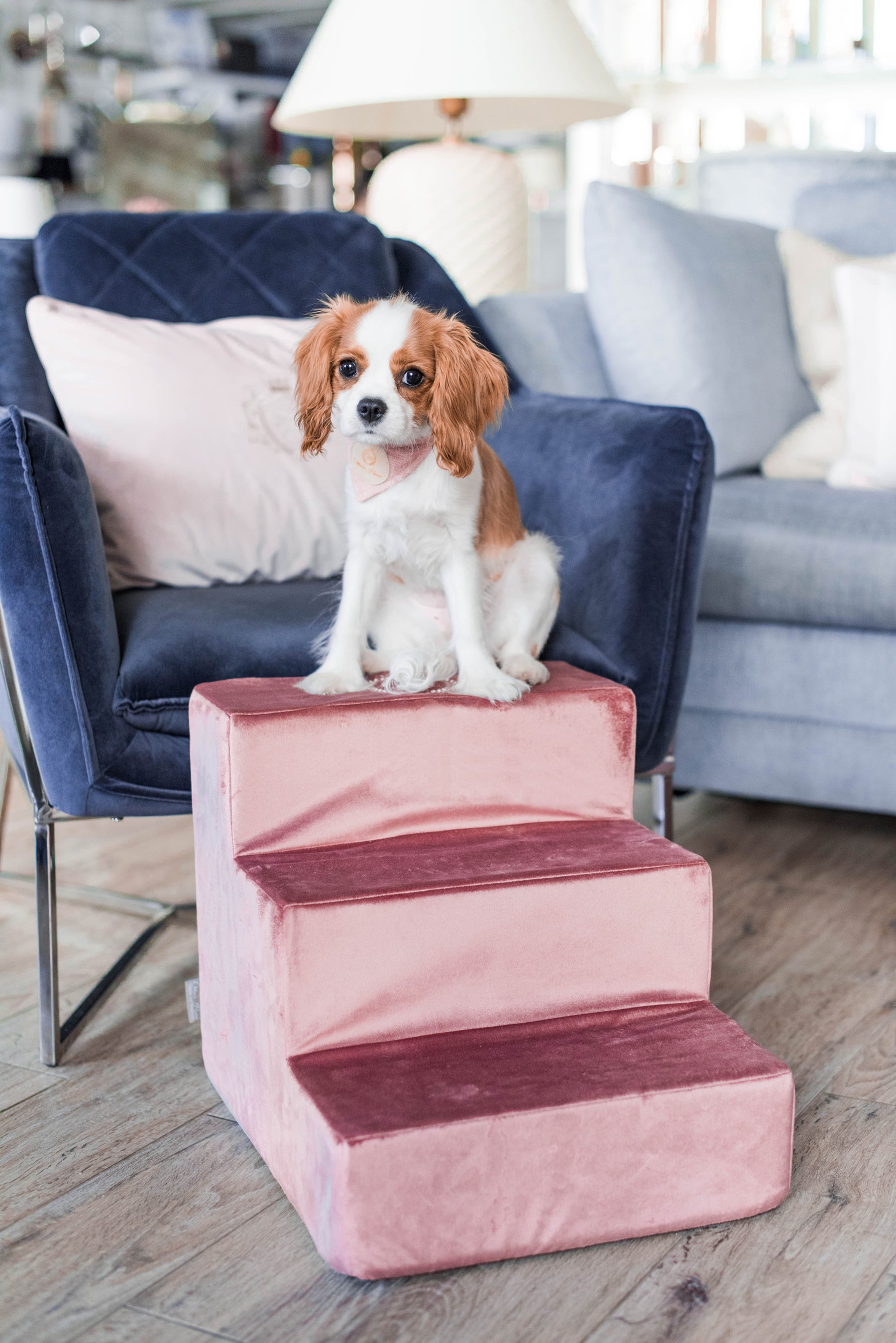 Bahamas Luxury Pink Velvet Pet Stairs