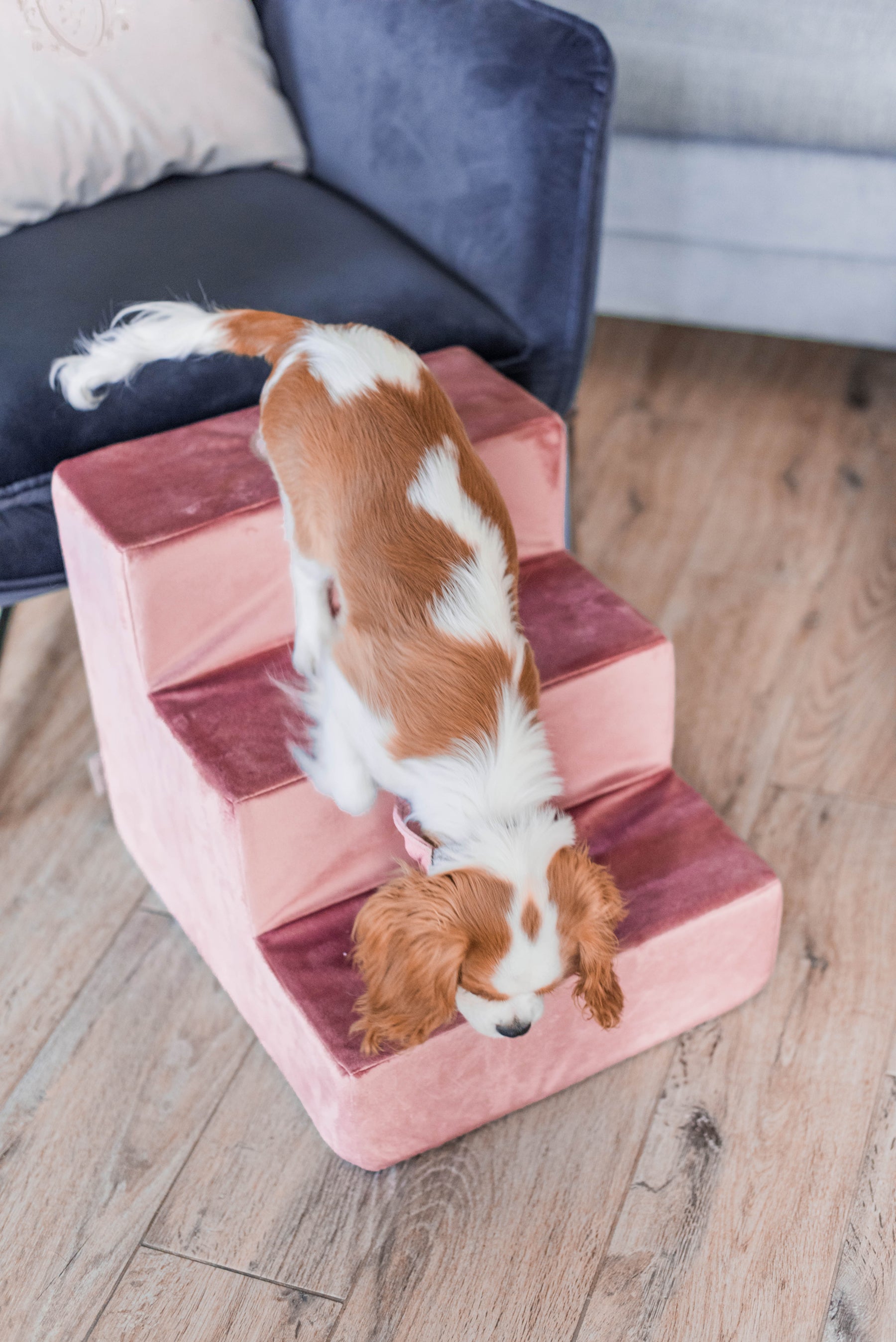 Bahamas Luxury Pink Velvet Pet Stairs