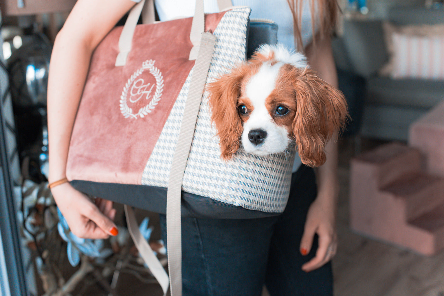 Porto Black Pet Carrier Bag