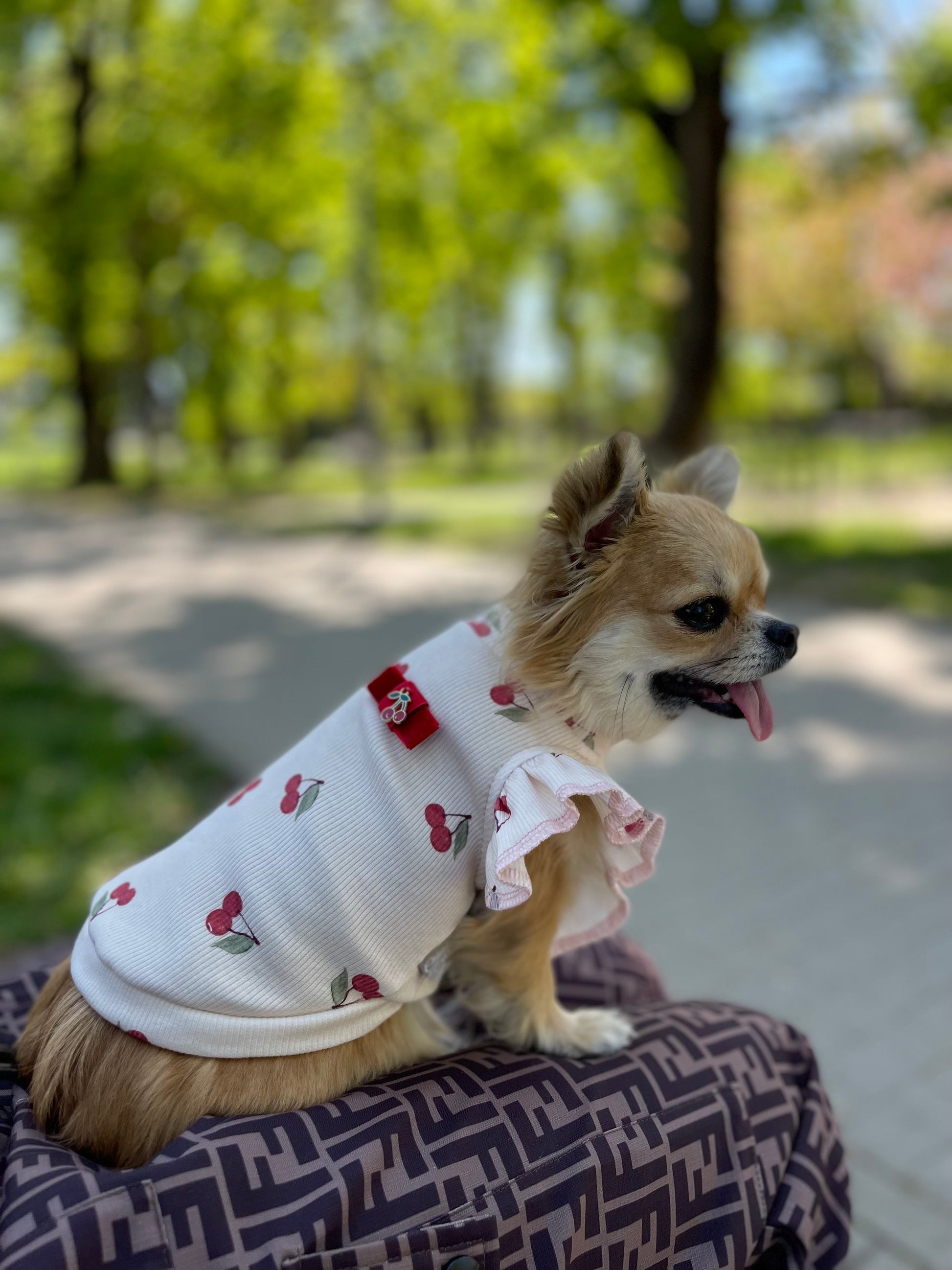 Fruity Cherry T-shirt for Dogs or Cats