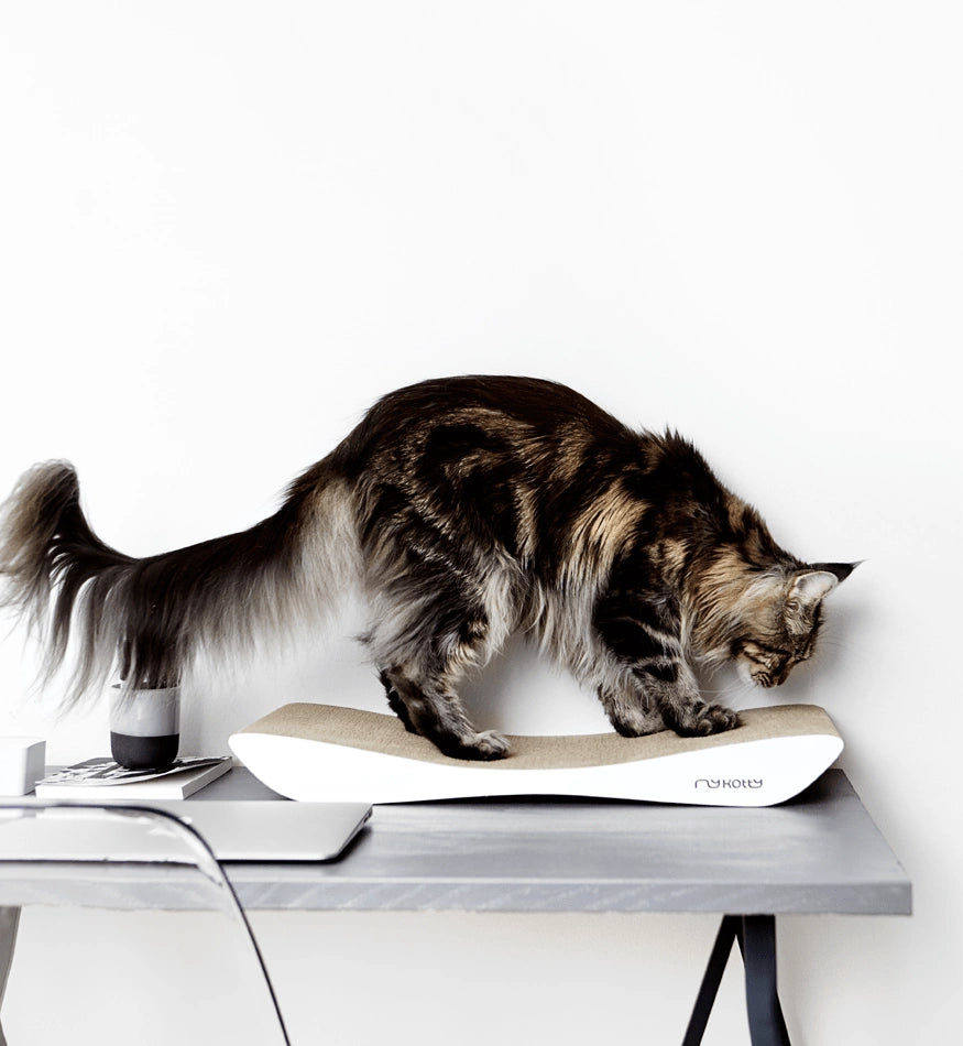 Tobi White Cat Scratcher