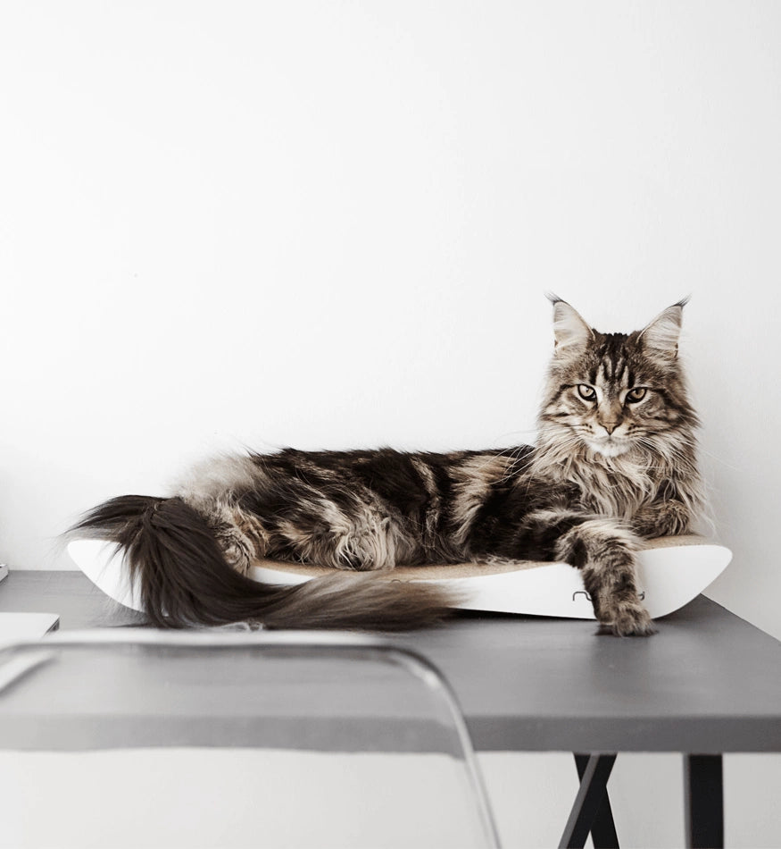 Tobi White Cat Scratcher