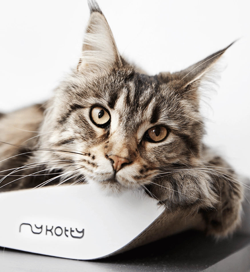 Tobi White Cat Scratcher