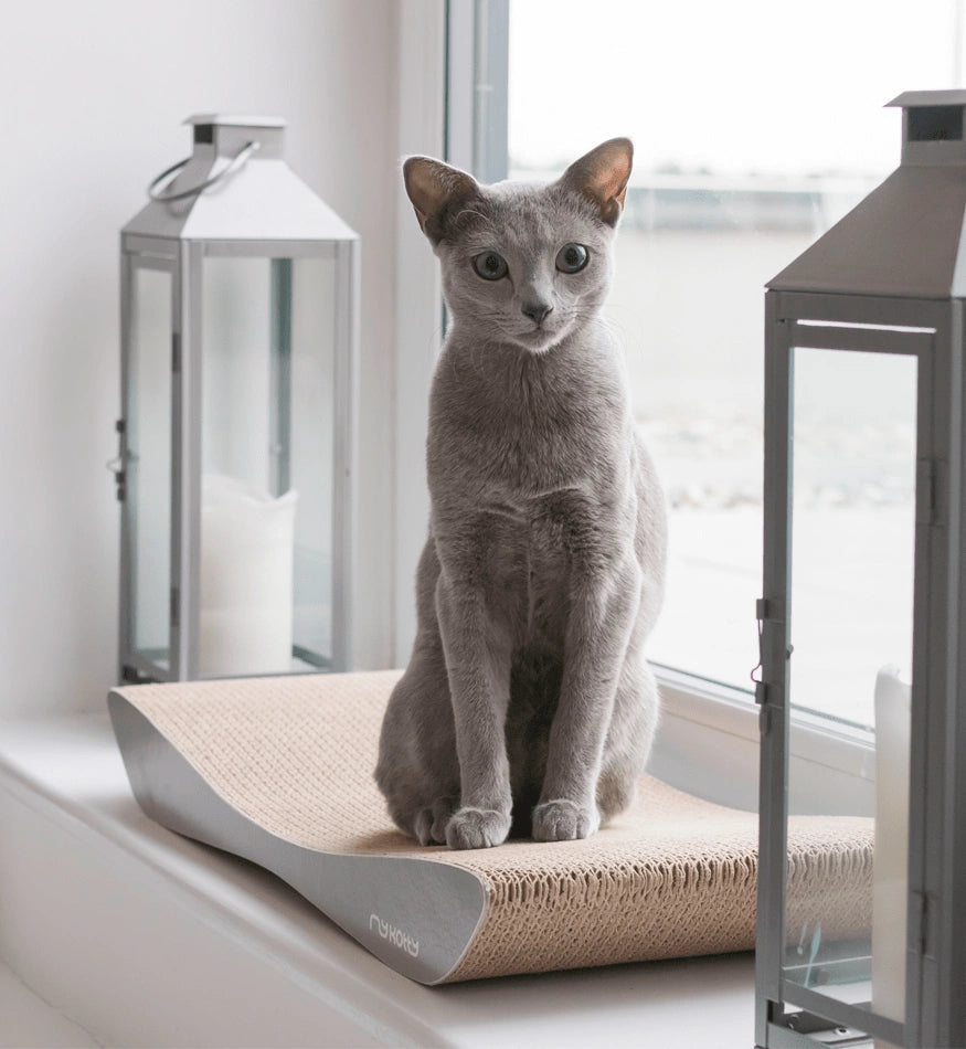 Tobi Grey Cat Scratcher
