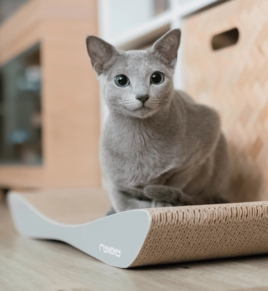 Tobi Grey Cat Scratcher