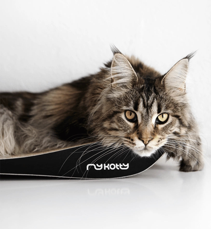 Tobi Black Cat Scratcher
